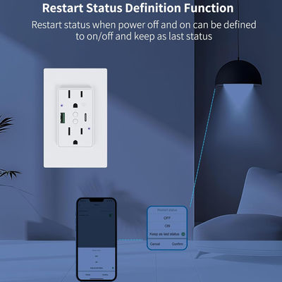 15A 125V Smart Socket Customized Wifi Controlled Power Outlet With PD20W Fast Charging